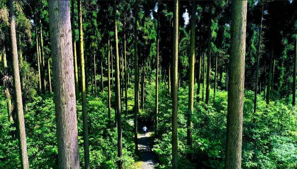 1763607178387942.png 8.png