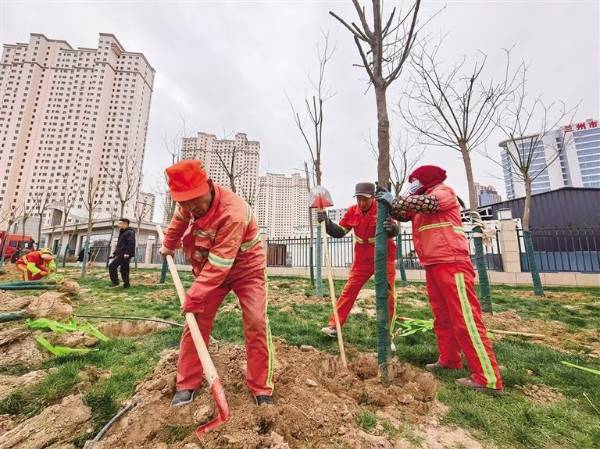 1763607286501321.jpg 10.jpg