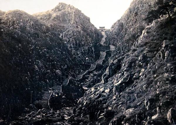 1763607564532727.jpg 1 (1).jpg