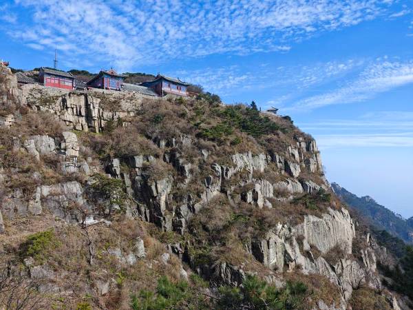 1763607585690623.jpg 3 (1).jpg