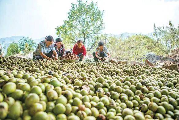 1763608628373100.jpg 2 (1).jpg