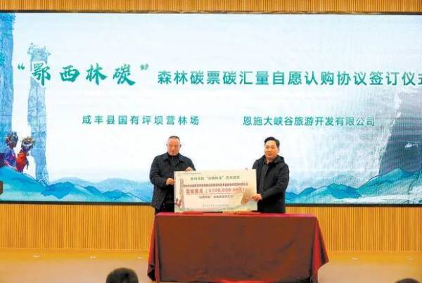 1763608640387803.jpg 3 (1).jpg