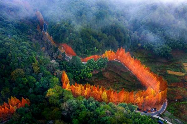 1763952972364833.jpg 1 (1).jpg