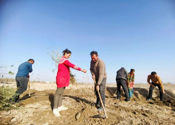 1763953206888890.jpg 1.jpg