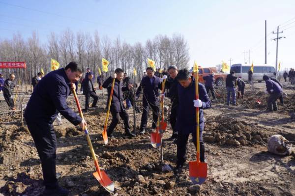 1763953334905548.jpg 4.jpg