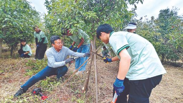 1764038324497478.jpg 1 (1).jpg