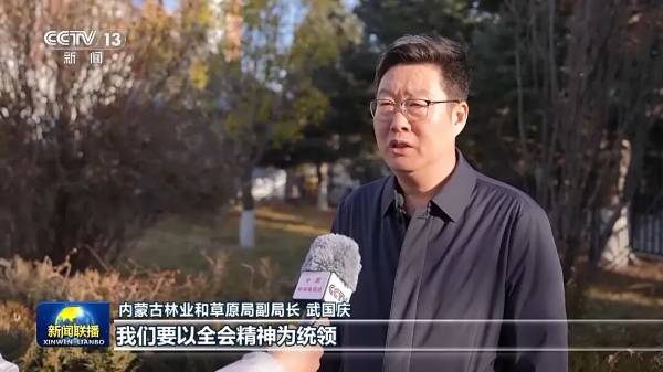 1764040232876479.jpg 5 (1).jpg