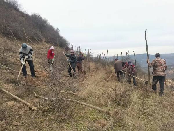 1764052015209074.jpg 2 (1).jpg