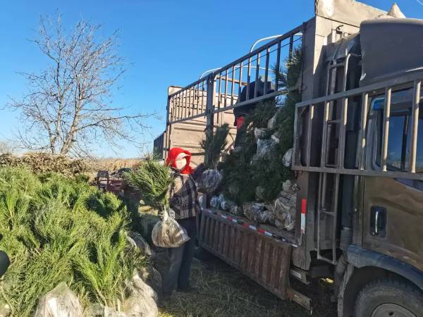 1764052030561344.jpg 3 (1).jpg