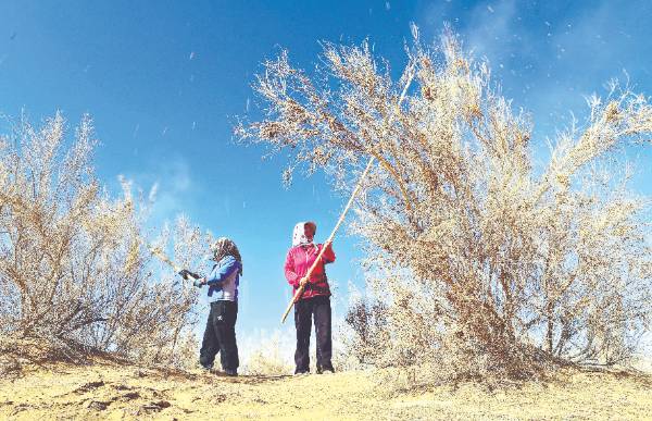 1764221020183272.jpg 3 (1).jpg