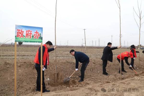 1764221248529434.jpg 1 (1).jpg