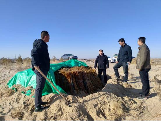 1764310595248456.png 1764310595248456.png