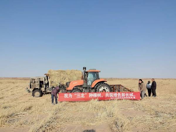 1764310613781088.jpg 10.jpg