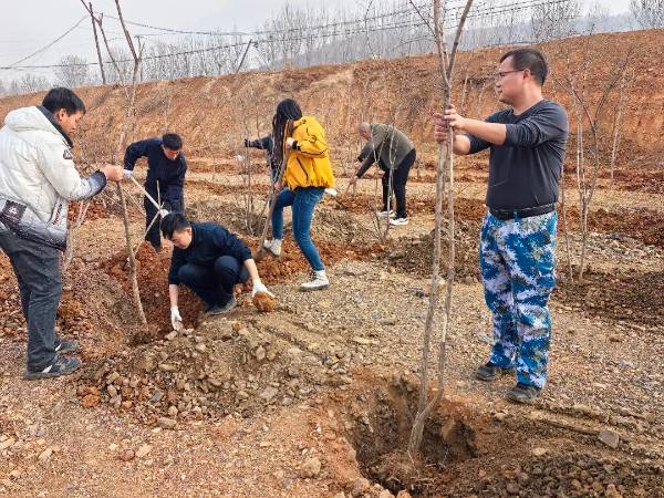 1764311297565954.jpg 15.jpg