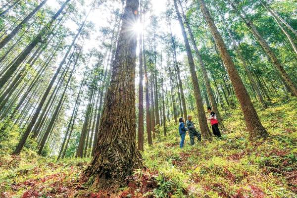 1764571405368571.jpg 9 (1).jpg