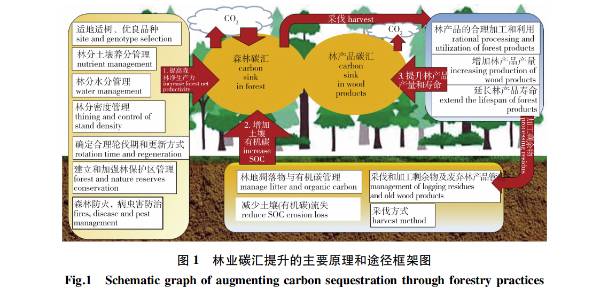 1764571570924715.jpg 1 (1).jpg