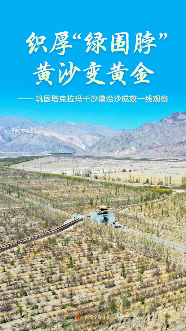 1764572720559492.jpg 1.jpg