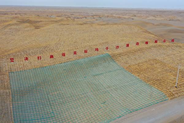 1764572762565248.jpg 2.jpg