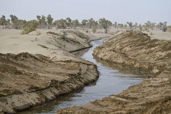 1764572805868651.jpg 5.jpg