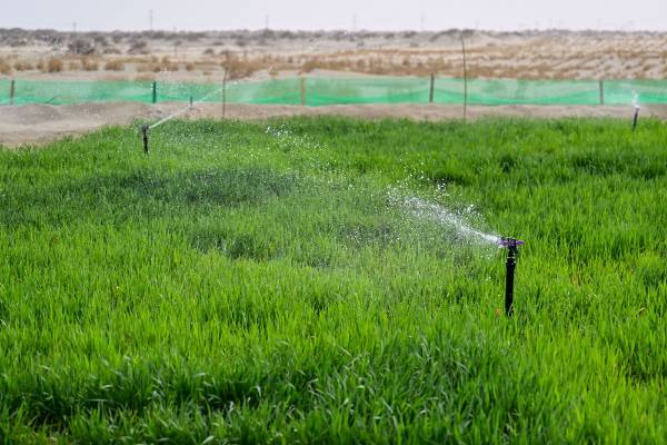 1764572825922485.jpg 7.jpg