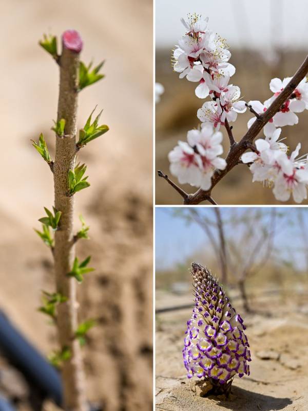 1764572836631067.jpg 8.jpg