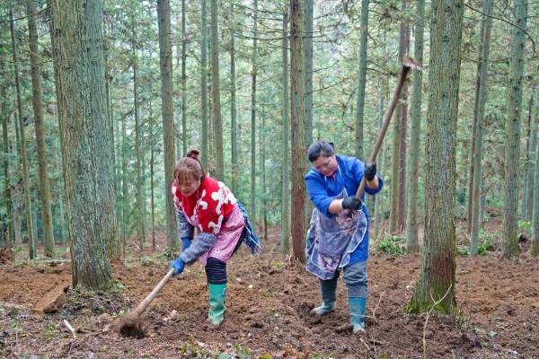 1764572973975611.jpg 2.jpg