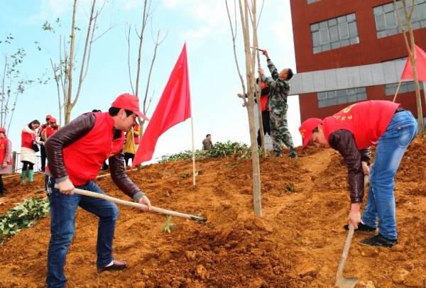 1764572985316611.jpg 4.jpg