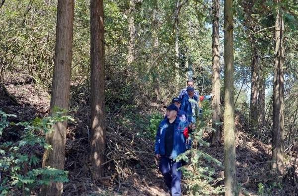 1764572991223740.jpg 5.jpg