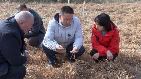 1764573234973527.jpg 2.jpg