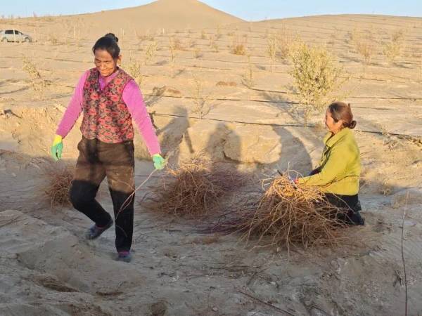 1764573240551099.jpg 3.jpg