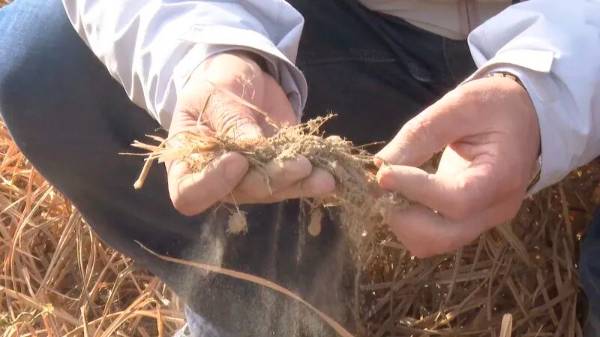 1764573263803222.jpg 5.jpg