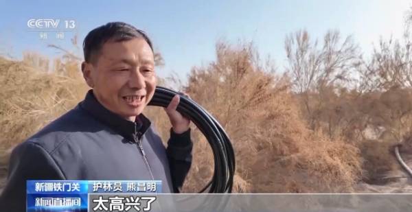 1764641730325788.jpg 4.jpg