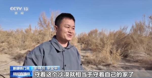 1764641804690377.jpg 10.jpg