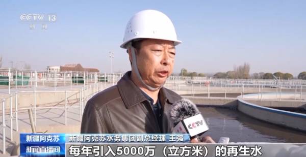 1764641944943547.jpg 13.jpg