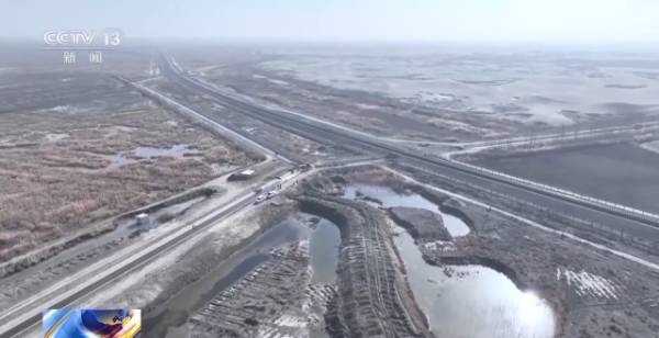 1764641953488996.jpg 14.jpg