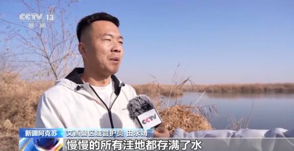 1764641961783361.jpg 15.jpg