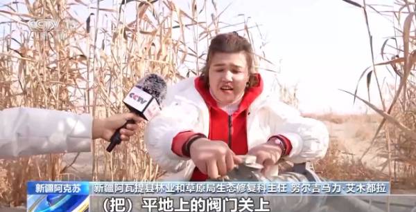 1764641977631275.jpg 17.jpg