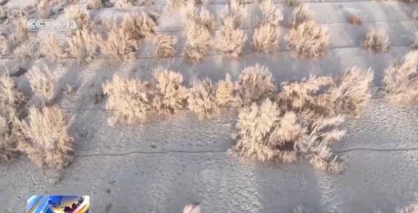 1764641986118491.jpg 18.jpg