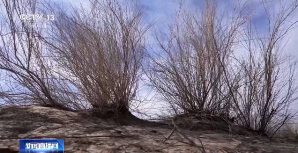 1764642136201065.jpg 23.jpg