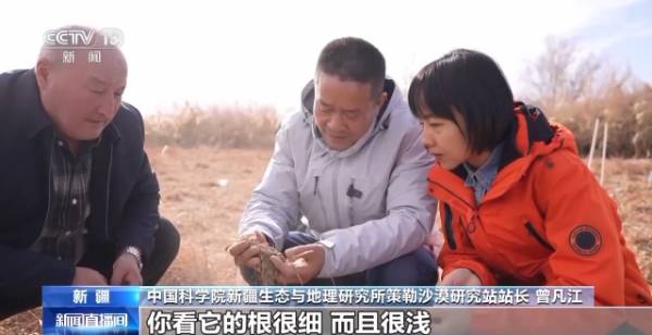 1764642152133936.jpg 25.jpg