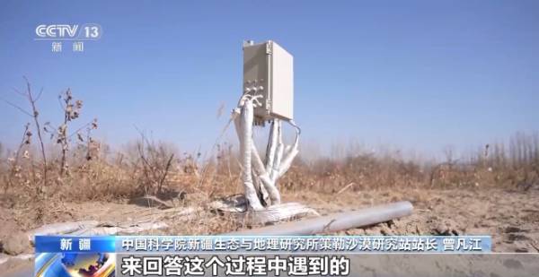 1764642175398775.jpg 28.jpg