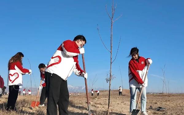 1764642360863032.jpg 32.jpg