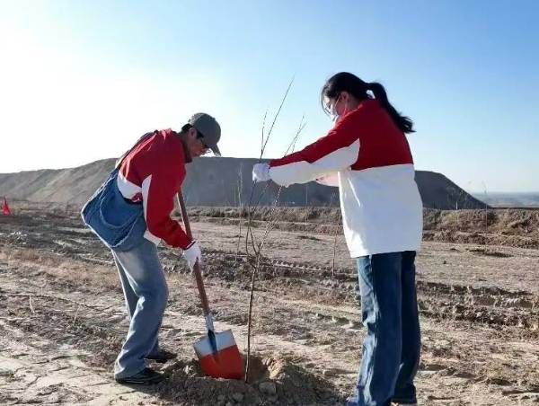 1764642368491031.jpg 33.jpg