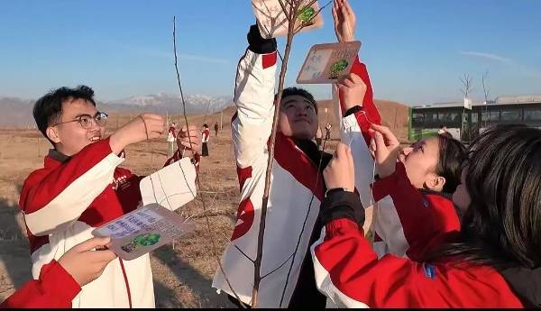 1764642383713619.jpg 35.jpg