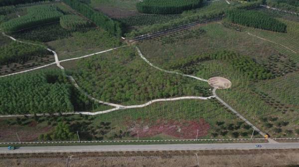 1764642895659052.jpg 2.jpg