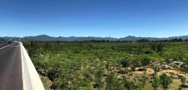 1764642977587439.jpg 6.jpg