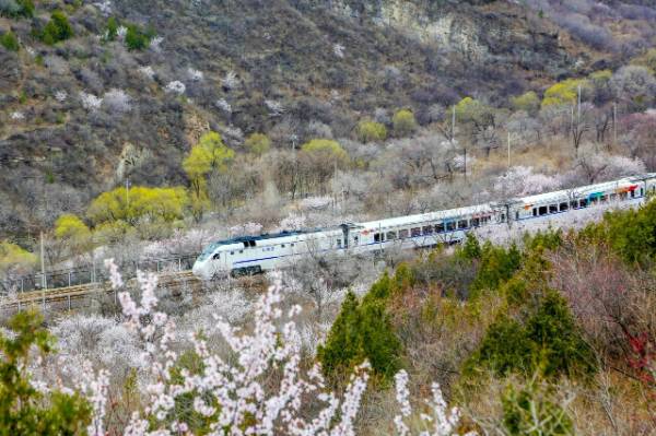 1764643022572966.jpg 9.jpg