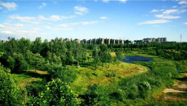 1764643052746031.jpg 10.jpg