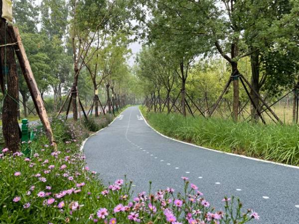 1764643077552525.jpg 12.jpg