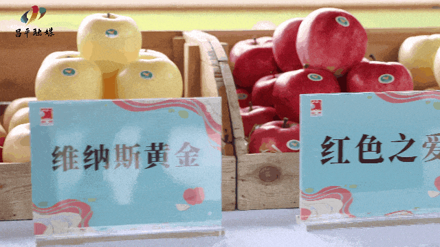 1764643269554117.gif 1764643269554117.gif